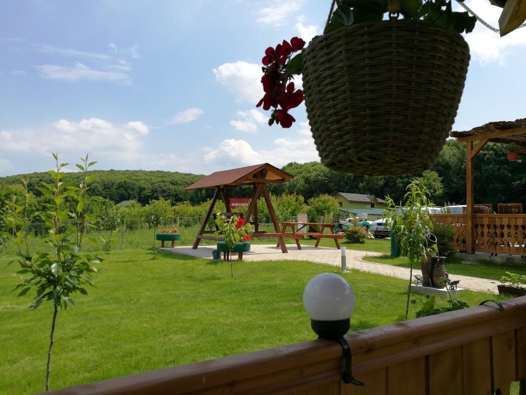 Agropensiunea Valea Fagilor Luncavita Exterior photo