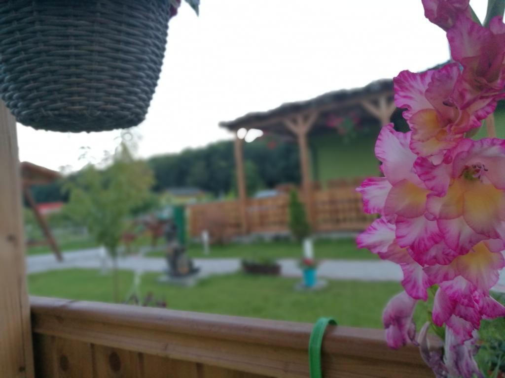 Agropensiunea Valea Fagilor Luncavita Exterior photo