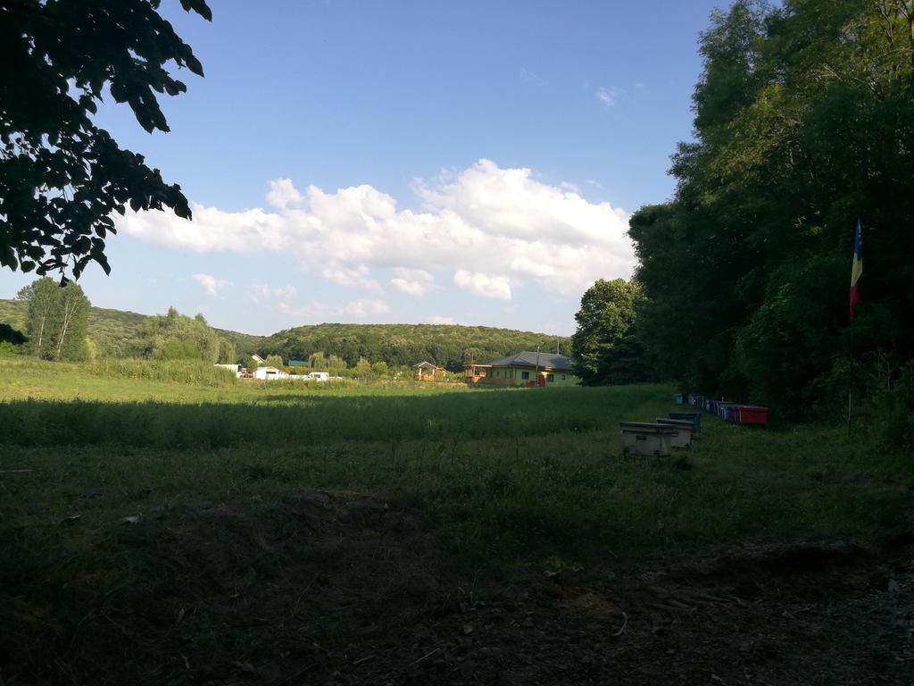 Agropensiunea Valea Fagilor Luncavita Exterior photo