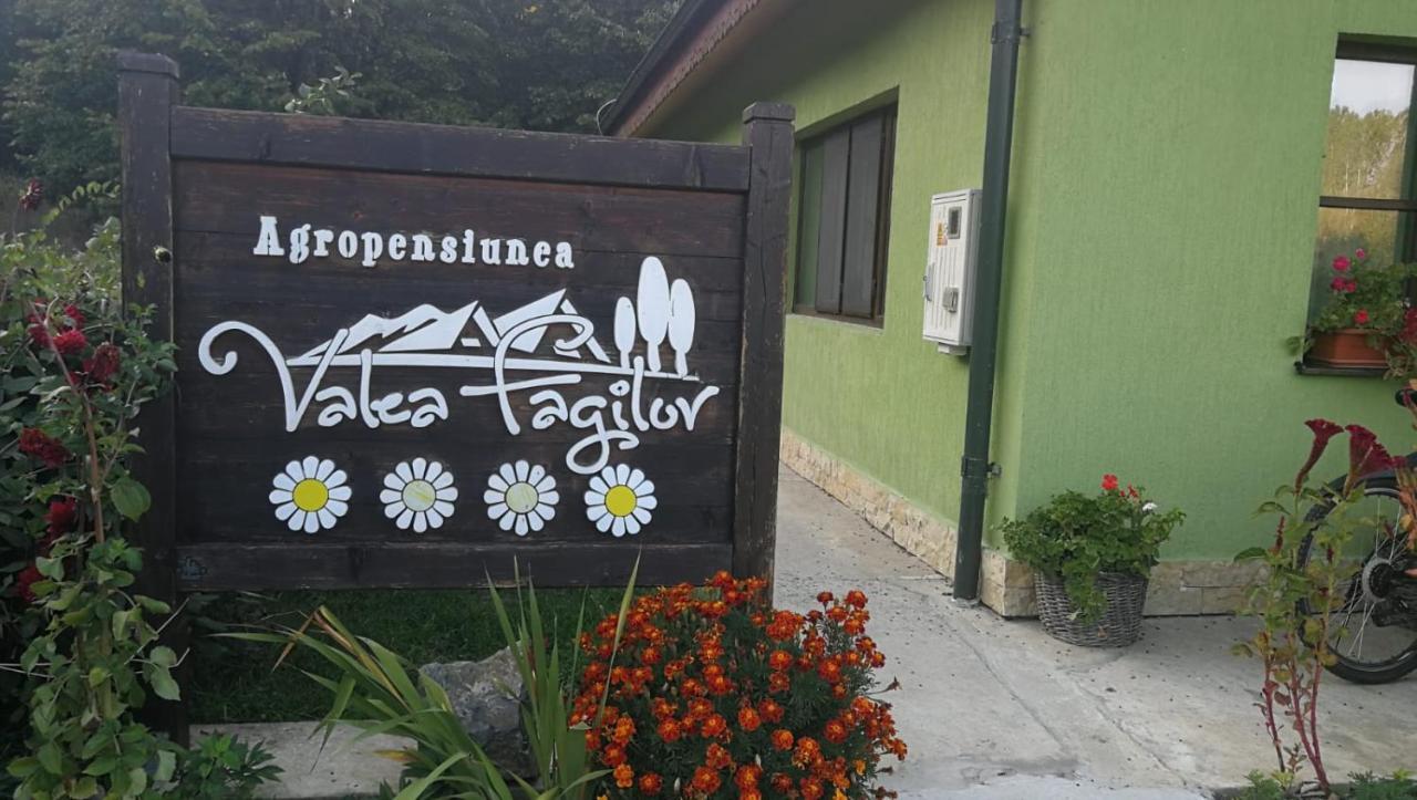 Agropensiunea Valea Fagilor Luncavita Exterior photo